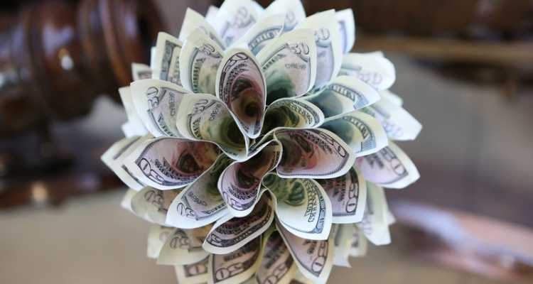50 dollar bills folded to resemble a plant